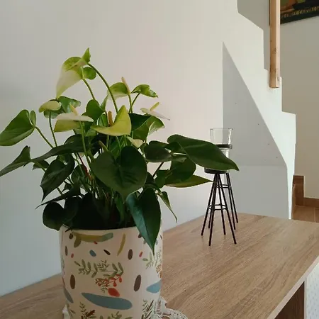 Casa Do Vale Cabo Gæstehus 3*