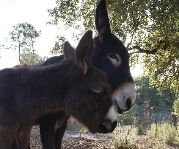 Casa Do Vale Cabo 3*