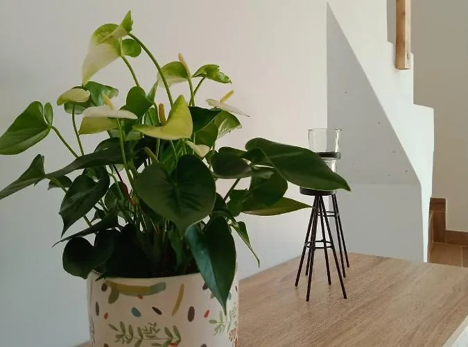 Casa Do Vale Cabo Affittacamere 3*